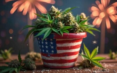 Spark Up the Fourth: Your Jade Guide to a Good Holiday Weekend